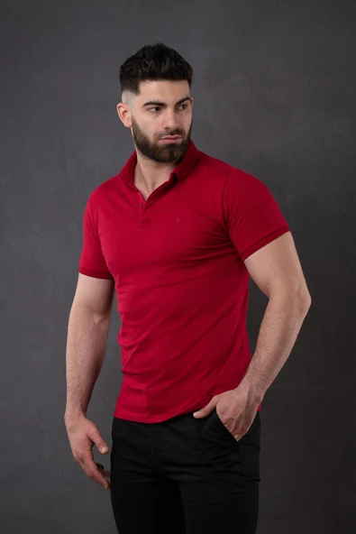 SAN&FA POLO YAKA SLİMFİT ERKEK T-SHİRT ürün görseli 1