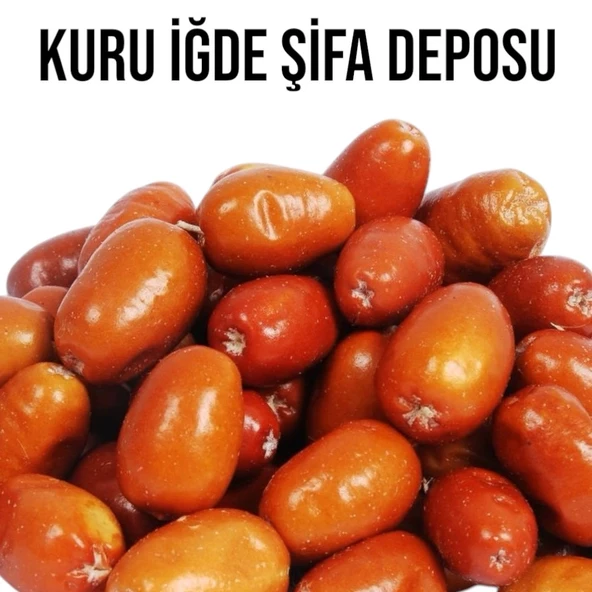 İğde Meyvesi 1 KG ürün görseli 1