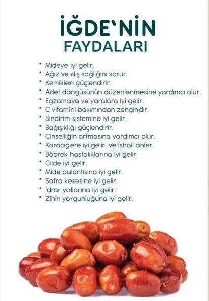 İğde Meyvesi 1 KG - Resim 2