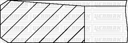 x MOTOR SEGMANI STD V184 PUMA DT24H DURATORQ 90/120PS ürün görseli 1