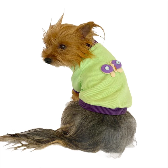 Sweet Butterfly Oval Yaka Tişört Köpek Kıyafeti Köpek Elbisesi ürün görseli 1