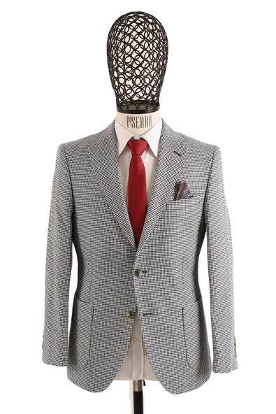 Slim Fit Erkek Ceket - Resim 2