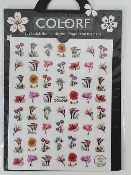 Tırnak Sticker CA-491 - Resim 4