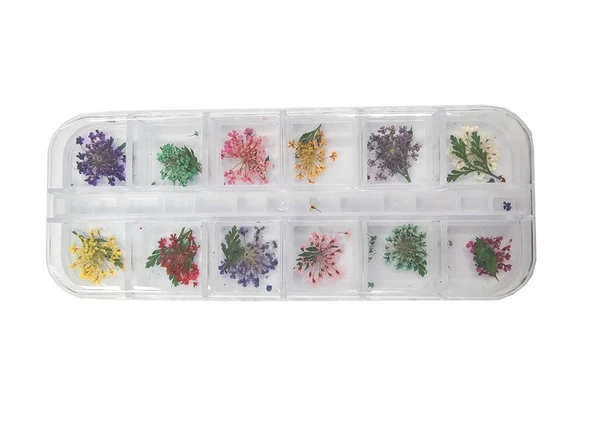 Nail Art Manikür Tırnak Süsleme Yapraklı Kuru Çiçek 12li Set ürün görseli 1