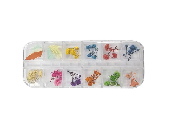 Nail Art Manikür Tırnak Süsleme Kuru Çiçek 12li Set ürün görseli 1
