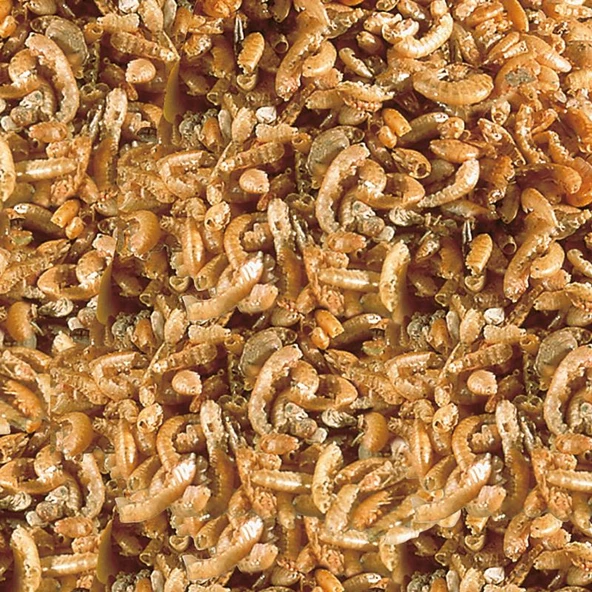 Sera Raffy I Gammarus 50 gr (Açık) Kilitli Poşette Kurutulmuş Karides  Skt:10/2028 ürün görseli 1