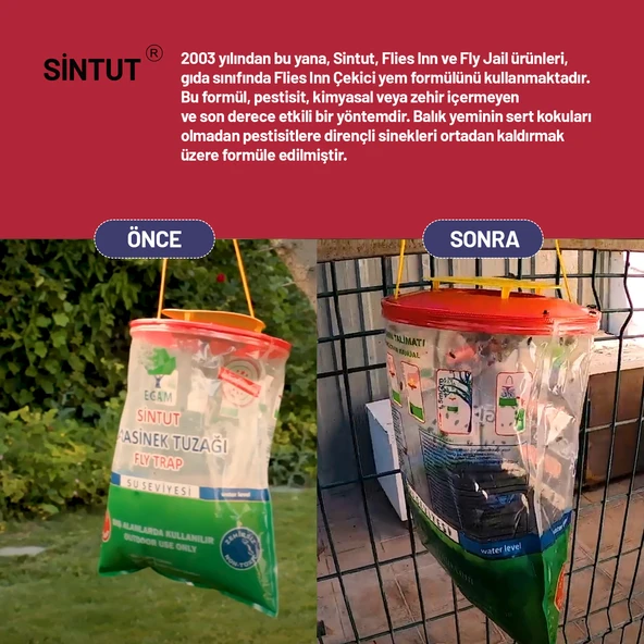 6 ADET Sintut Large, Karasinek Tuzağı - Resim 4