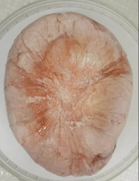 Saf Çiğ Ayı Yağı 100 G - Resim 3