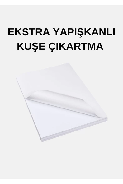 200 Adet Yapışkanlı Hotmelt Etiket Parlak Kuşe A4 Ebat (ESTRA YAPIŞKANLI) ürün görseli 1