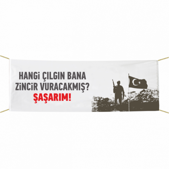 Hangi Çılgın Bana Zincir Vuracakmış Şaşarım Afiş- Pankar 75x300 ürün görseli 1
