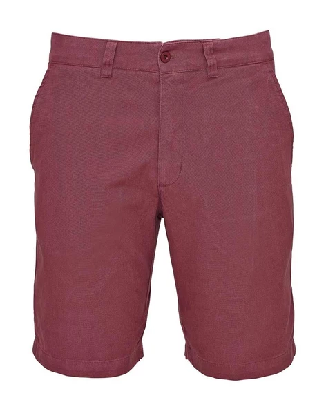 Lafuma Staten Erkek Şort LFV10705 ürün görseli 1