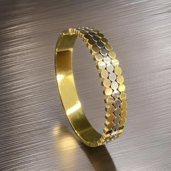 316L Çelik Bileklik Antialerjik Gold ve Gümüş Renkli Şık Tasarım Zarafeti Çıkaran Parlak Dokunuşlar ürün görseli 1