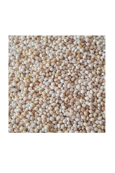 5 Kg Muhabbet Kuşu Yemi - Ak Darı ürün görseli 1