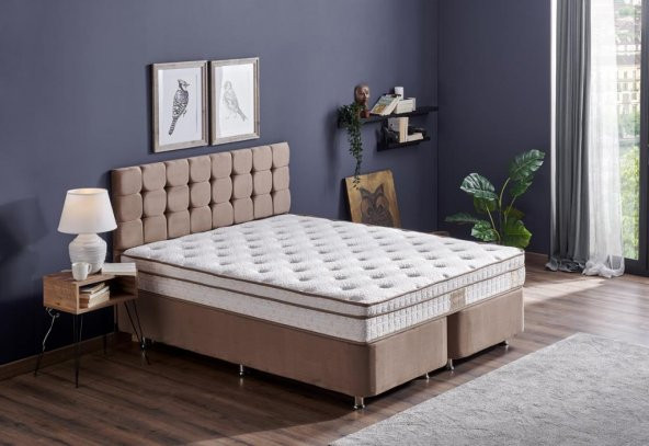 Niron Helen 150x200 Çift Kişilik Yatak Baza Başlık Seti Aloe Vera Yatak, Kumaş Baza, Başlık Takımı ürün görseli 1