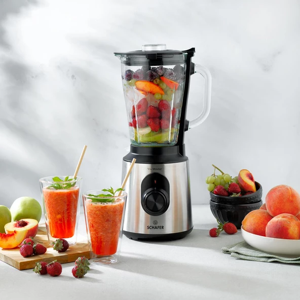 Schafer Vita Master Cam Sürahi Blender-Inox ürün görseli 1