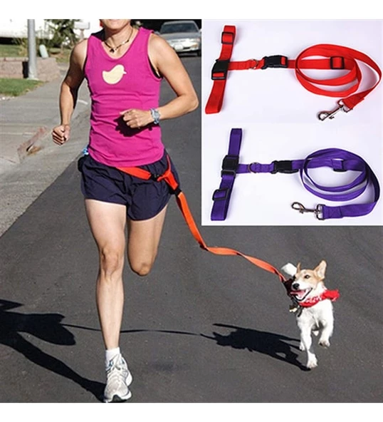 Koşu Tasması Eller Serbest Köpek Gezdirme Bel Koşu Tasması ürün görseli 1
