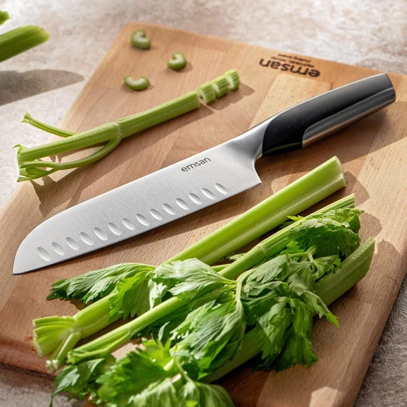 EMSAN PRO KNİFE SANTOKU 2.5 MM ürün görseli 1