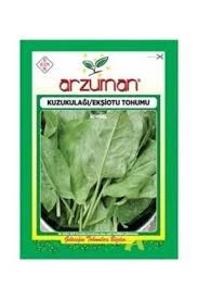1 Paket Arzuman Kuzu Kulağı Otu Ekşi Otu Tohumu Sürpriz Hediye Tohgumlu ürün görseli 1