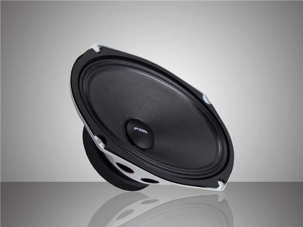 FOR-X XMD-3069-300W MAX-150W RMS-PROFESYONEL OVAL MİDRANGE HOPARLÖR-2 ADET ürün görseli 1