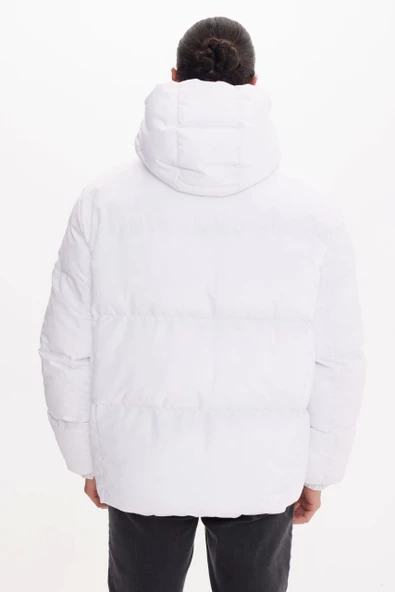 White COSMOS - Resim 4