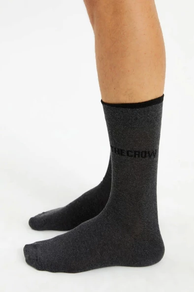 Anthracite SPARTACUS - Resim 2