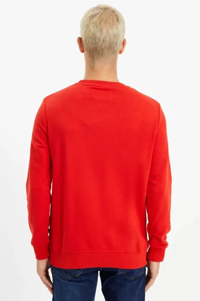 Red ZOOM - Resim 5