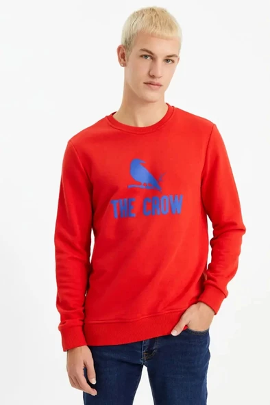 Red ZOOM ürün görseli 1