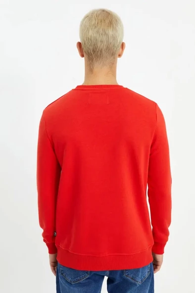 Red PINN - Resim 5