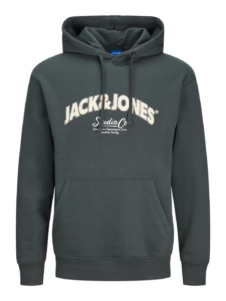 JACK JONES Erkek Kapüşonlu Sweatshirt 12267584 ürün görseli 1