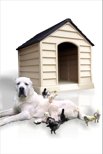 Dev Büyük Yüksek Geniş 100x95cm Isı Yalıtımlı Havalandırmalı Köpek Kulübesi Evi Yuvası Kümesi Kafesi ürün görseli 1