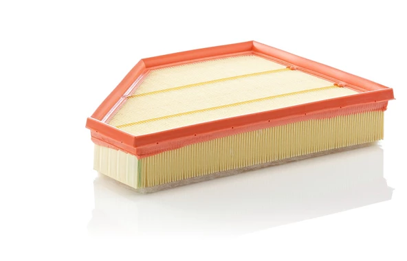 Mann Filter C30135 Hava Filtresi ürün görseli 1