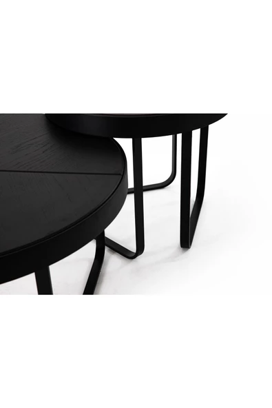 Onurdesign Parma Orta Sehpa - Resim 4