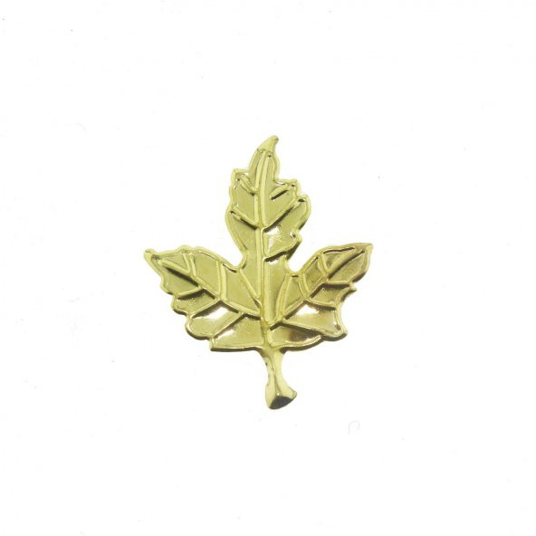 20 Adet 3,5x4,5cm Metal Çınar Yaprağı ürün görseli 1