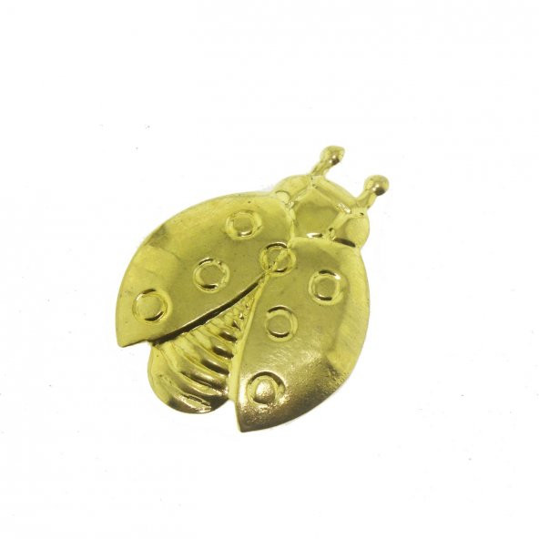 20 Adet 3x4cm Metal Uğur Böceği ürün görseli 1