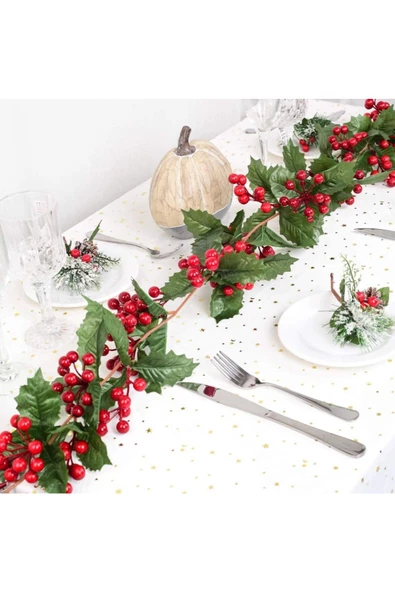 Yenigeldi 2 Adet Kokina Red Berry Yılbaşı Çelenk,   Ev Şömine Parti Kış Noel Yılbaşı Süsü ürün görseli 1