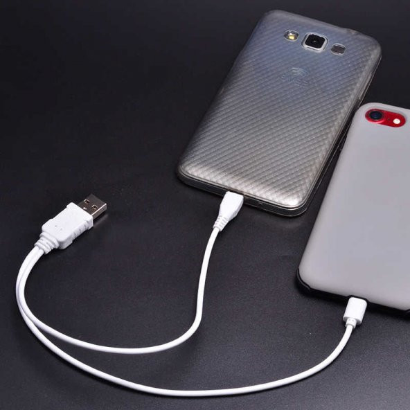 Zore 2 İN 1 Kısa Kablo İphone Şarj-Micro Usb Kablo - Resim 3
