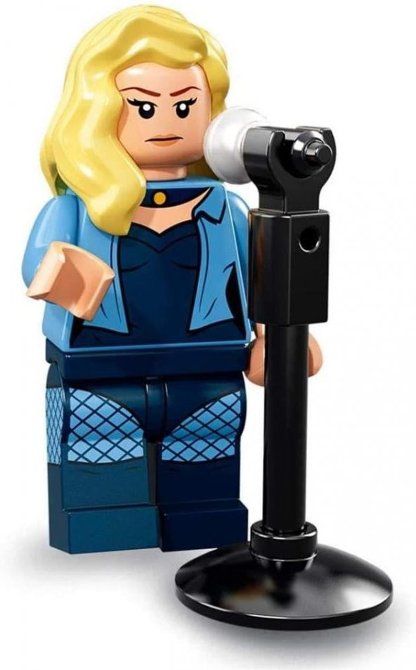 Lego 71020 Minifigure Batman Series 2 - 19 Black Canary ürün görseli 1