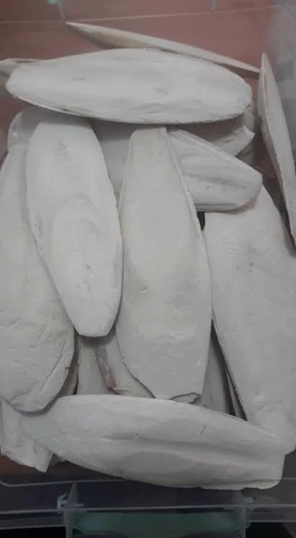 Kalamar kemiği 15-20 cm - Resim 2