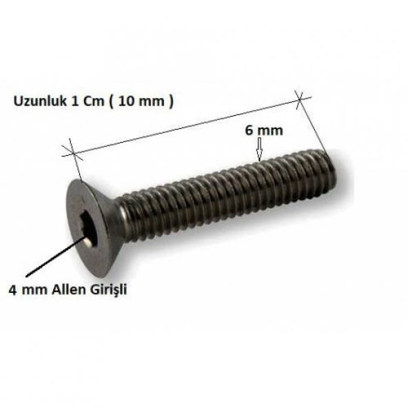 Havşa Başlı İmbus Civata 6MX10mm 10 Adet - Resim 2