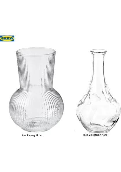SUMUHOME PADVILJE CAM VAZO SAYDAM 2'Lİ 17CM ürün görseli 1