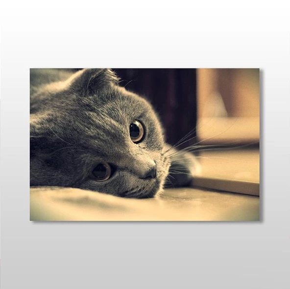 Siyah Kedi Kanvas Tablo ürün görseli 1