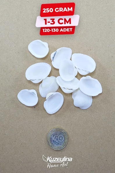 Kuzeylina Doğal Deniz Kabuğu 250 Gram 1-3 Cm ürün görseli 1