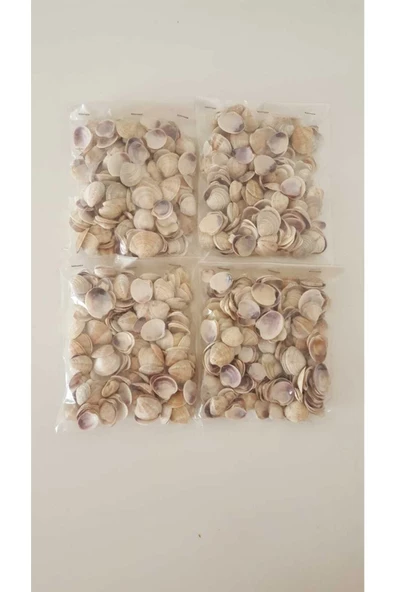 Kuzeylina Küçük Deniz Kabuğu Süs Dekoratif Akvaryum Süsleme 100 Gr ürün görseli 1