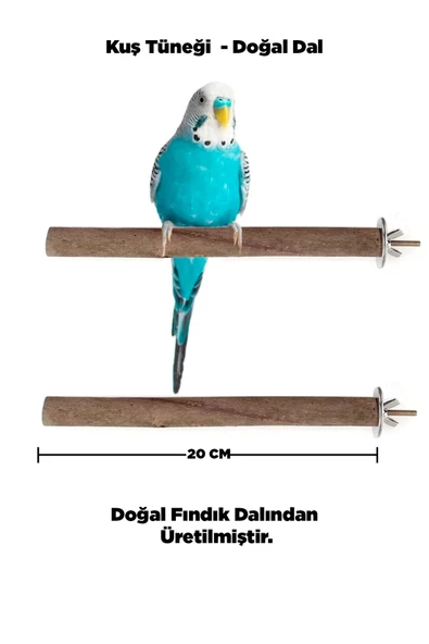 Kuzeylina Doğal Ahşap Kuş Tüneği 20 Cm - Gerçek Fındık Dalı ürün görseli 1