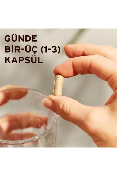 Solgar Milk Thistle 100 Mg 50 Kapsül - Resim 4