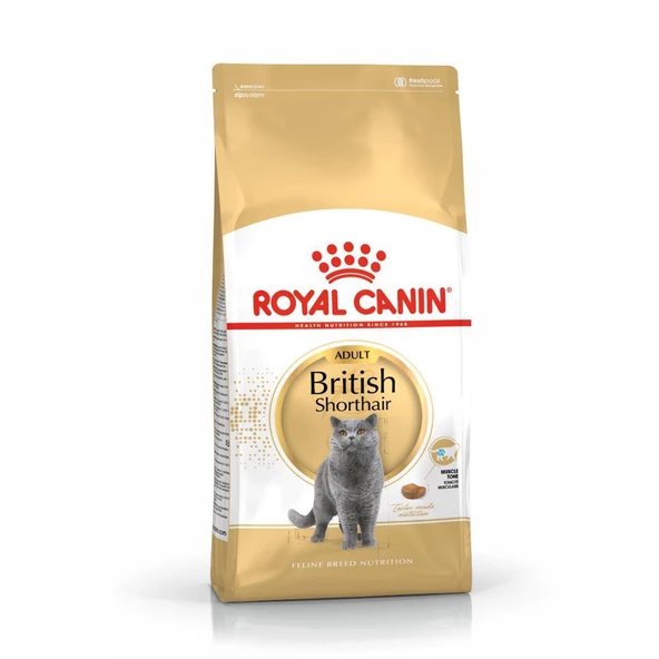 Royal Canin British Shorthair İçin Özel Irk Yetişkin Kedi Maması 10 kg ürün görseli 1