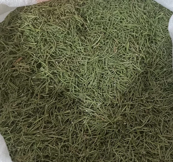 Biberiye 100 gr Doğal Kurutulmuş Yeni Mahsül Taze Ürün ürün görseli 1