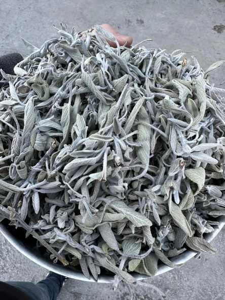 Adaçayı 1 Kg Organik Ada Çayı ( Yeni Mahsül, Doğal Kurutulmuş, Elenmiş ) ürün görseli 1