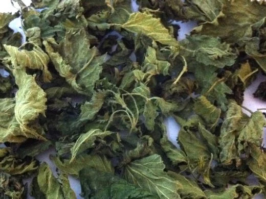 Isırgan Otu 300 Gr Organi?k ( Doğal Kurutulmuş, Elenmiş, Katkısız ) ürün görseli 1