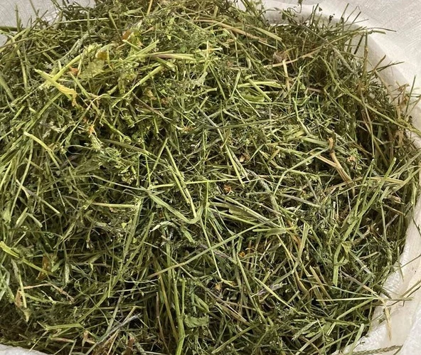 Çoban Çantası 1 Kg Organik Yeni Mahsül, Doğal Kurutulmuş, Elenmiş ürün görseli 1